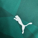 Palmeiras 23-24 home - Lagrife Sport